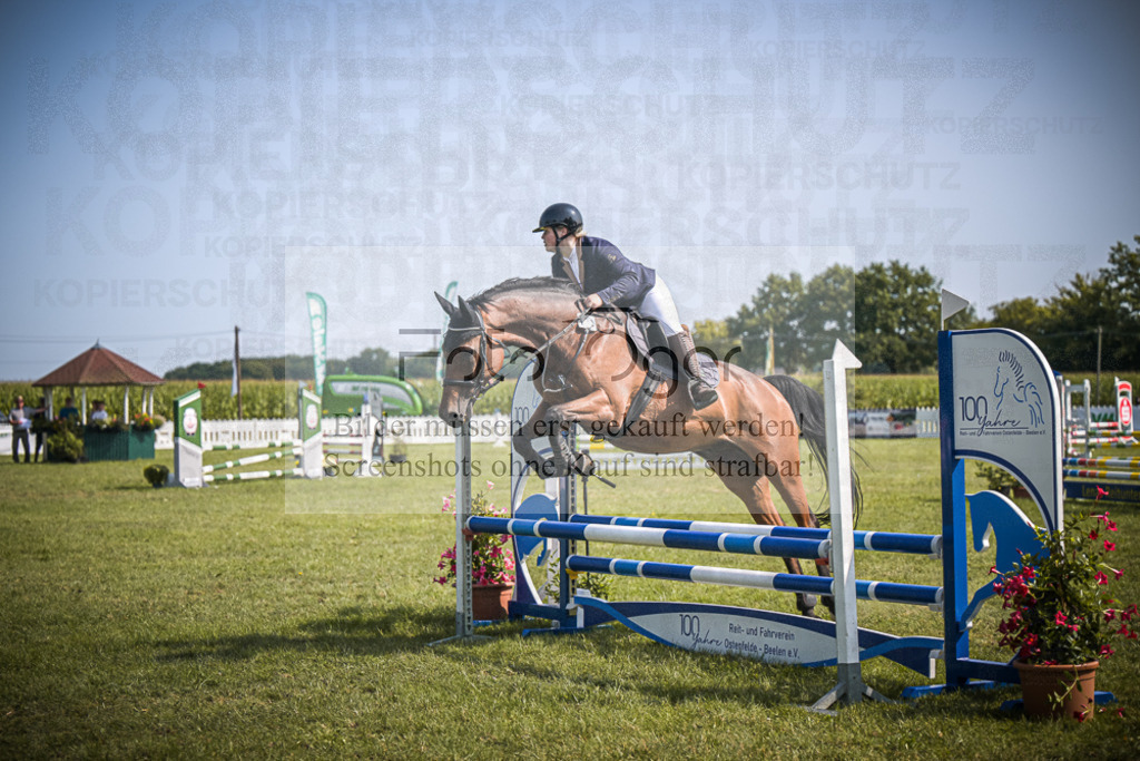 DOS_3200 | Entdecke hochwertige Reitturnierfotos von Foto Oger. Professionell, emotional und authentisch – jetzt Lieblingsmomente im Shop bestellen.Deutschlandweite Turnierfotografie. - Realisiert mit Pictrs.com