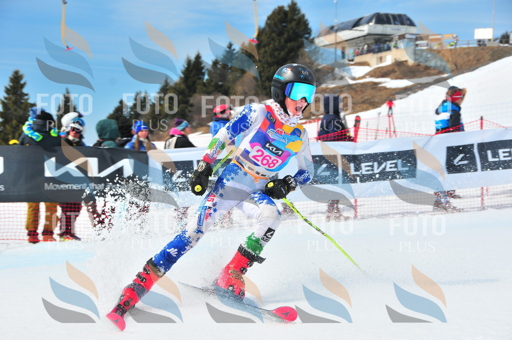 DSC_6257 | holidayphoto