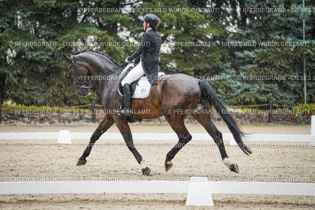 DSC08138 | Pferdegrafie