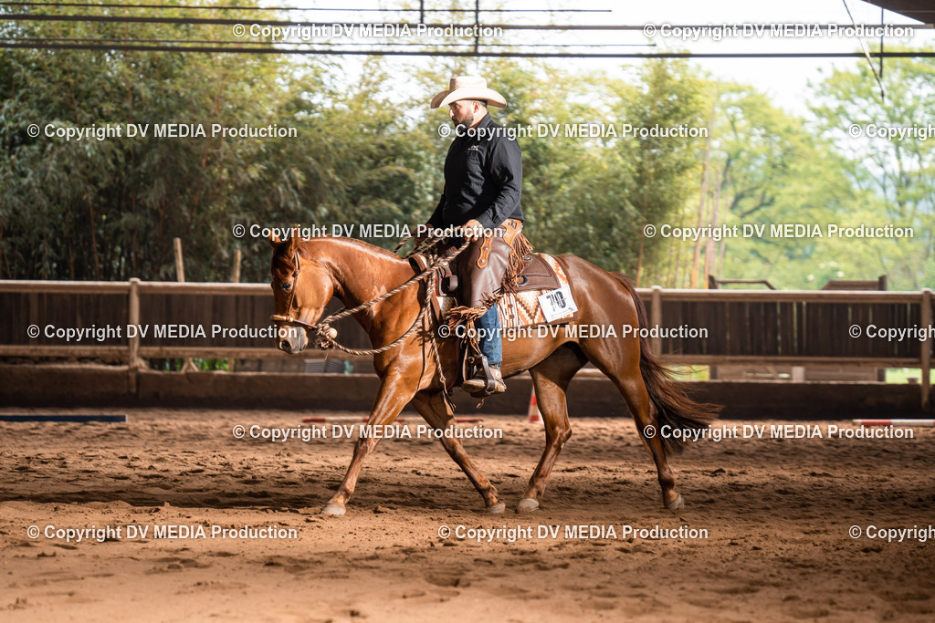 Erbach Tag 2-559 | dv-media-shop - Realisiert mit Pictrs.com