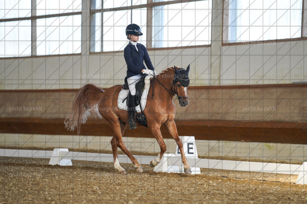 20240824-FAH07049 | Thierhaupten 2024, Bayerisches Landesponyturnier, Turnierbilder, Ponybilder, Turnierfotografen Bayern, Fotoagentur Herrmann