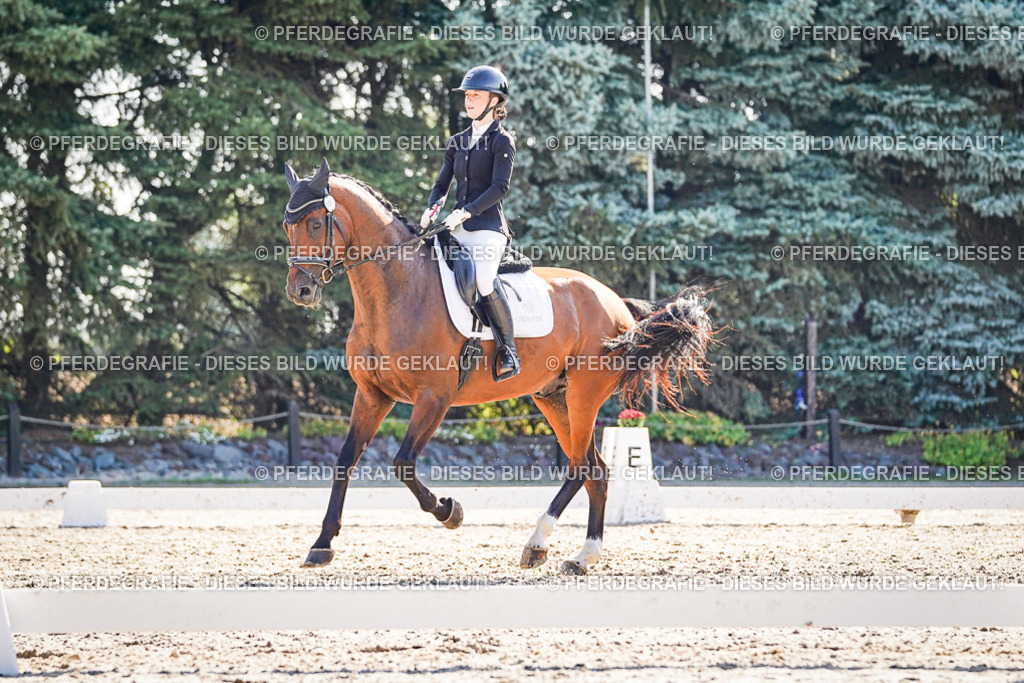 DSC09870 | Pferdegrafie