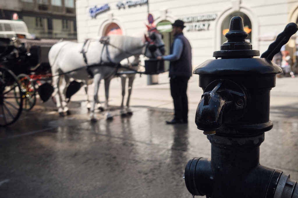 Fiaker am Stephansplatz mit Kutsche und Wasserversorgung | Wien, Austria - June 12, 2025: Fiaker am Stephansplatz mit Kutsche und Wasserversorgung. - Realisiert mit Pictrs.com