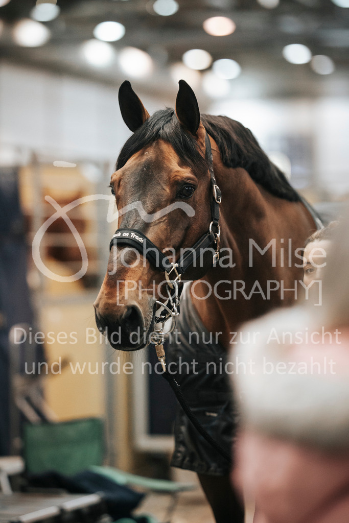 240119_Leipzig_Impressionen-507 | Deine schönsten Turniermomente als professionelle Fotos! Entdecke hochwertige Pferdesport-Fotografie im Online-Shop. Jetzt Fotos finden & bestellen!