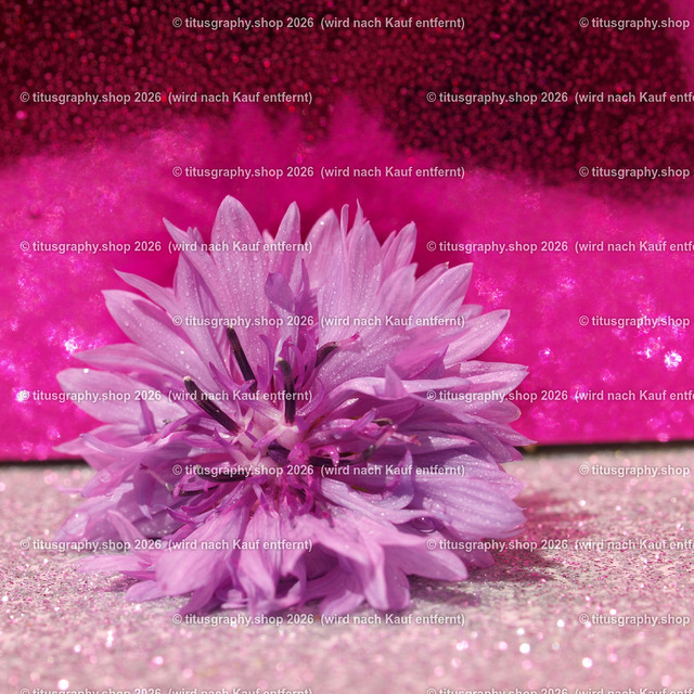 P7264126_edited | Fotokunstarbeit aus der INSTAGRAM-Gallerie auf titusgraphy.eu - Realisiert mit Pictrs.com