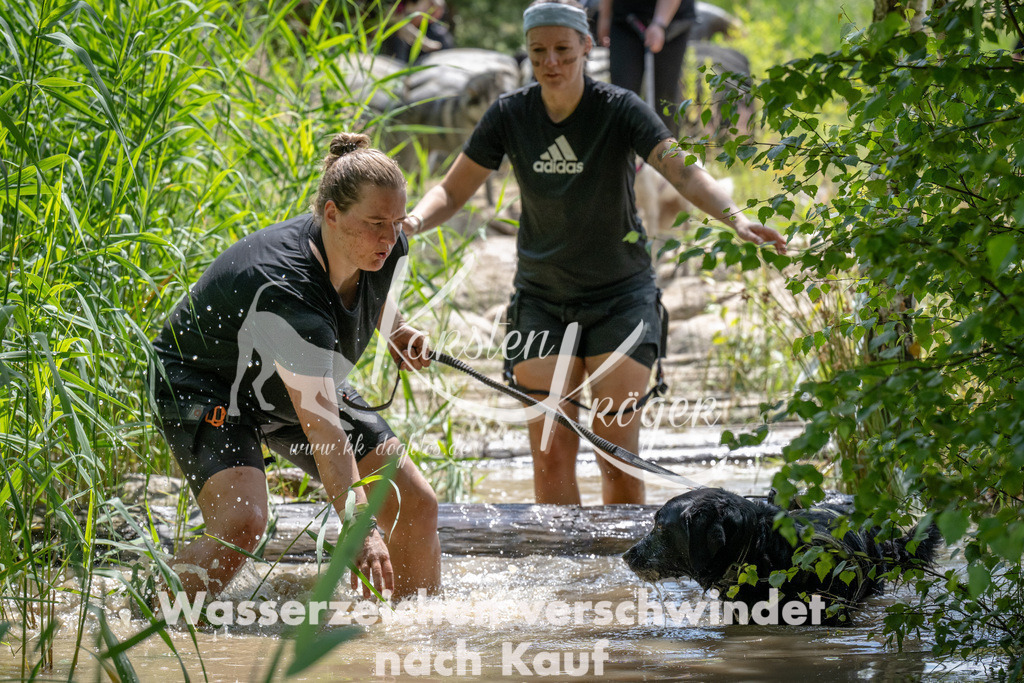 1409_ZZ93322 | kk-dogfotos