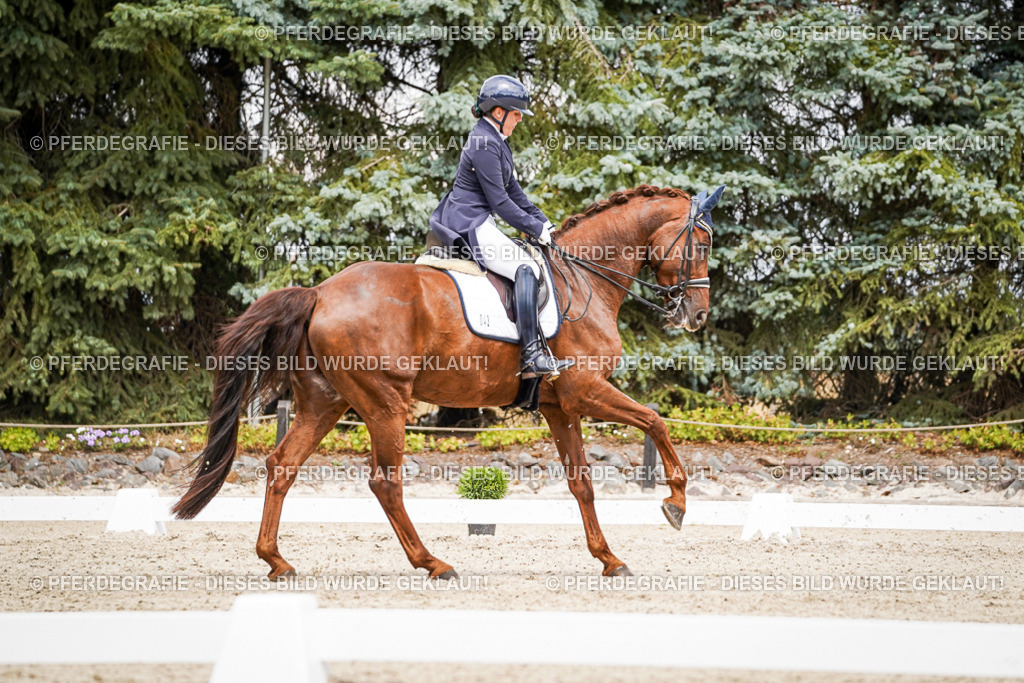 DSC05962 | Pferdegrafie