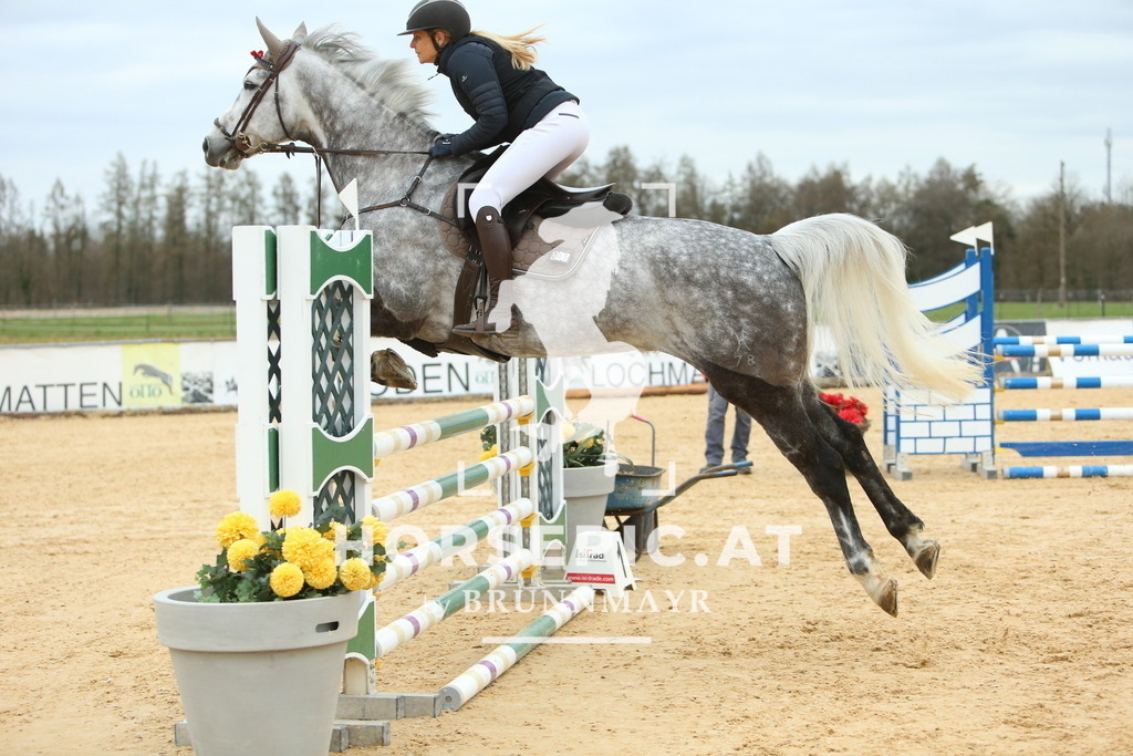 DL2Q2709 | Willkommen bei Brunnmayr - Design & Fotografie – Ihrem Spezialisten für Reitturniere und Pferdeveranstaltungen in Oberösterreich, Salzburg und Bayern! Seit über 17 Jahren sind wir leidenschaftlich dabei.