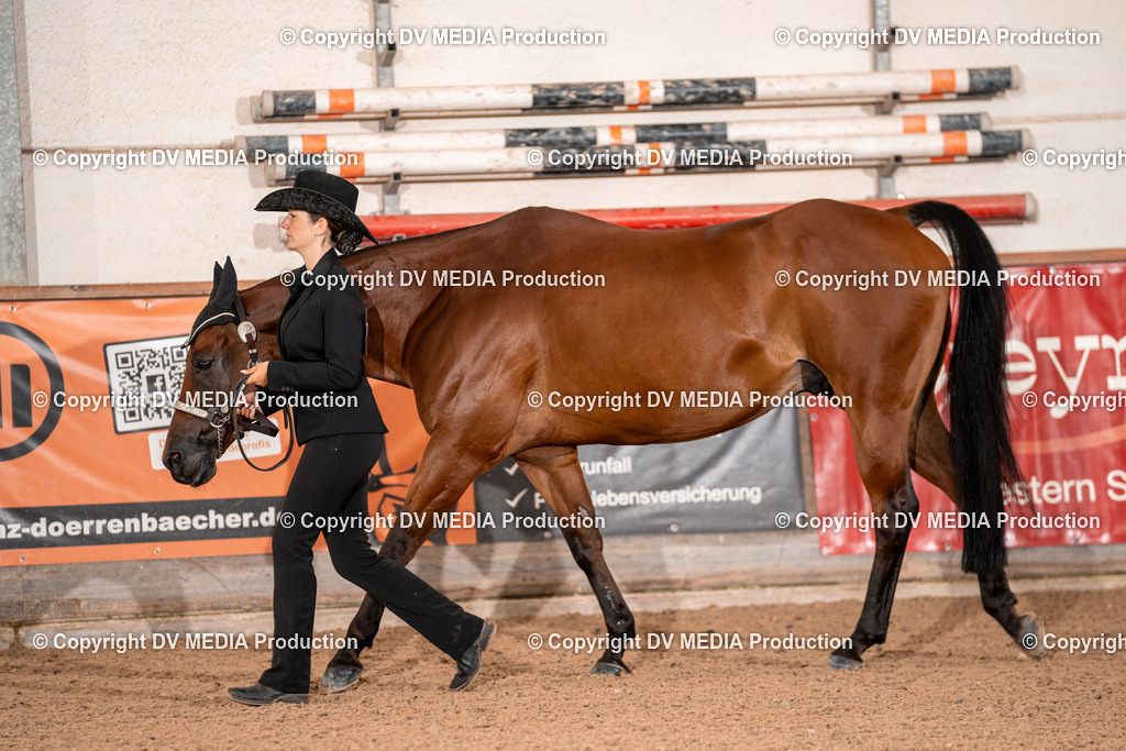 LM Heiligenwald Tag 1-05 | dv-media-shop - Realisiert mit Pictrs.com