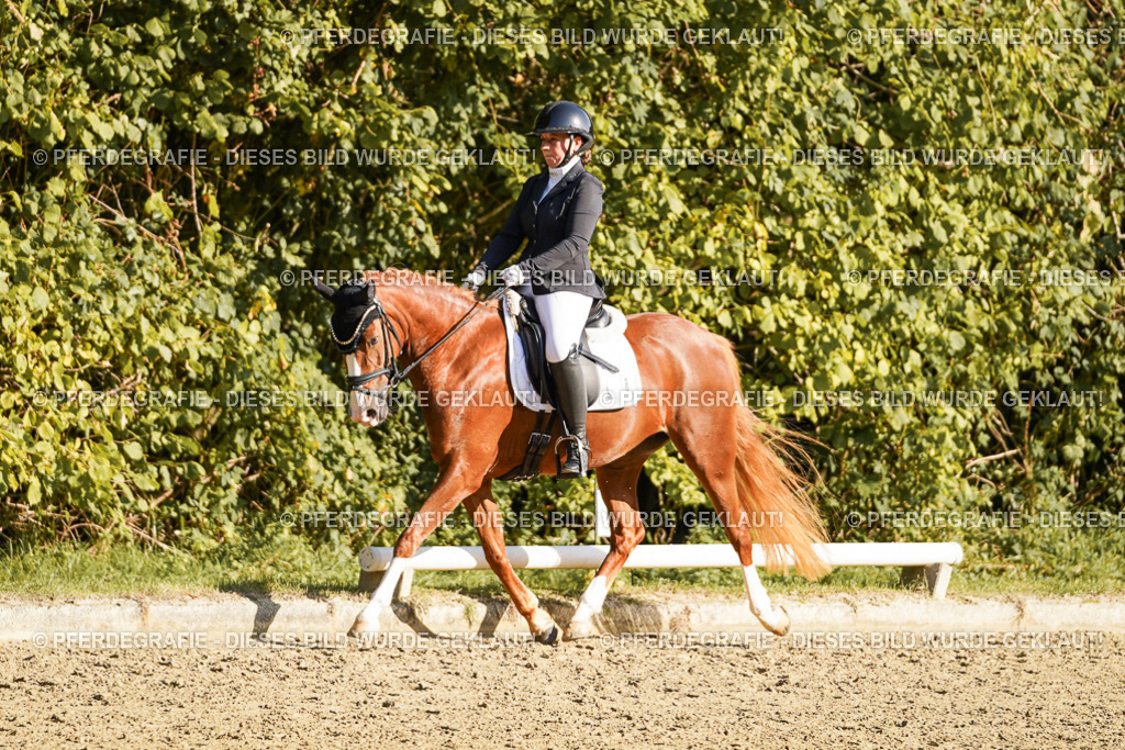 DSC06201 | Pferdegrafie