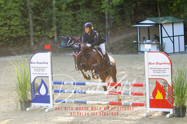 DKP42736 | Turniersportfotografie; Pferdefotografie; Dressurfotografie