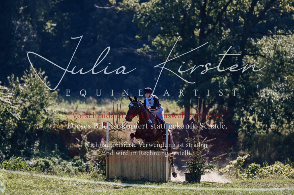 DSC_1822 | Pferde- und Turnierfotografie in Westsachsen. Pferdeportraits, Auftragszeichnungen und intuitive Kunst.