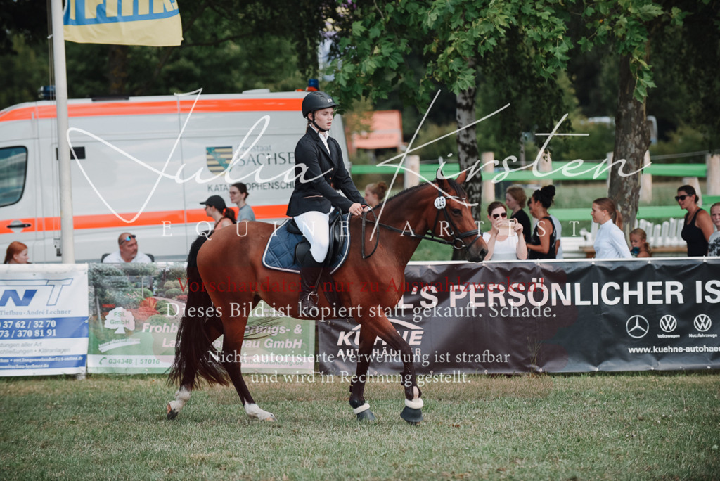 DSC_5821 | Pferde- und Turnierfotografie in Westsachsen. Pferdeportraits, Auftragszeichnungen und intuitive Kunst.