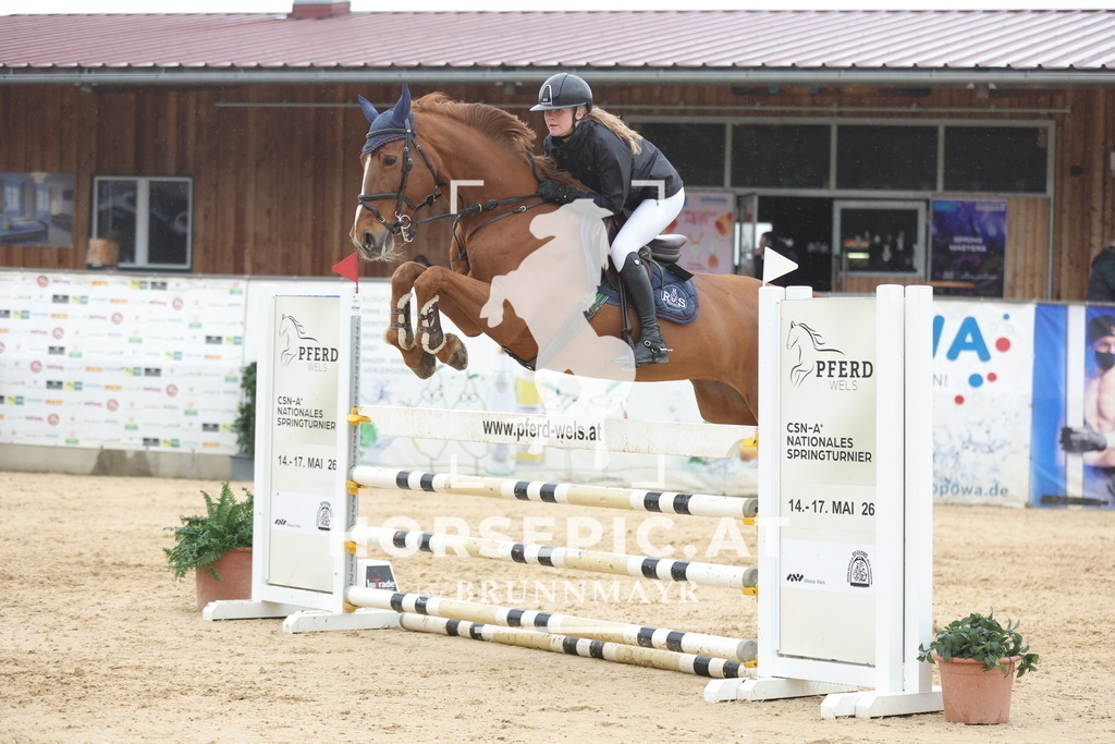 0P6A1301 | Willkommen bei Brunnmayr - Design & Fotografie – Ihrem Spezialisten für Reitturniere und Pferdeveranstaltungen in Oberösterreich, Salzburg und Bayern! Seit über 17 Jahren sind wir leidenschaftlich dabei.
