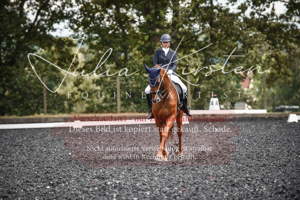 DSC_5027 | Pferde- und Turnierfotografie in Westsachsen. Pferdeportraits, Auftragszeichnungen und intuitive Kunst.