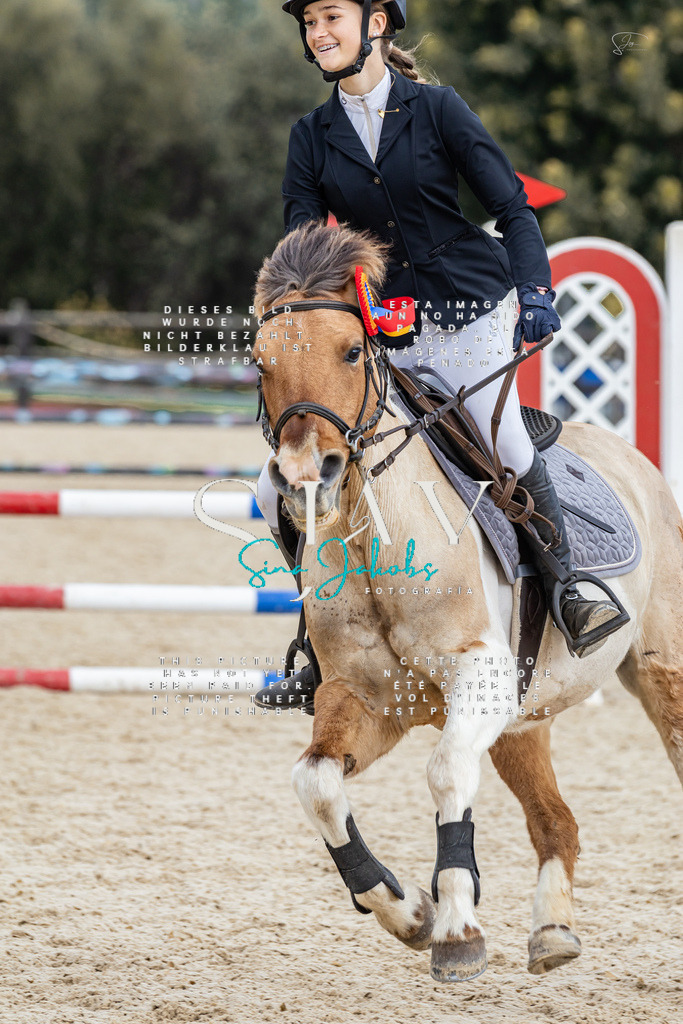 IMG_4737 | s-jay-photography - Realisiert mit Pictrs.com