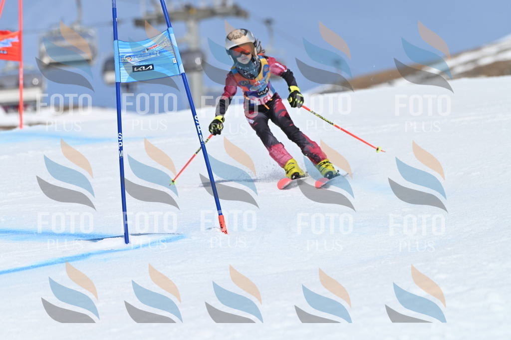 BGV_0268 | holidayphoto