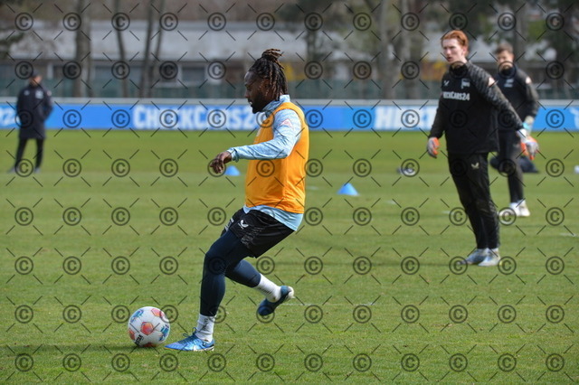 RGE_8846 | Hertha BSC, 2.Bundesliga, Herren, Training, Saison 2025/26, Deyovaisio Zeefuik ( Hertha BSC ), Dienstag, 31.03. 2026,   Fotograf: Ralf Gebhardt - Realisiert mit Pictrs.com