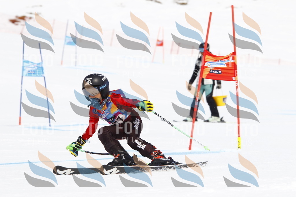 _U3G4666 | holidayphoto