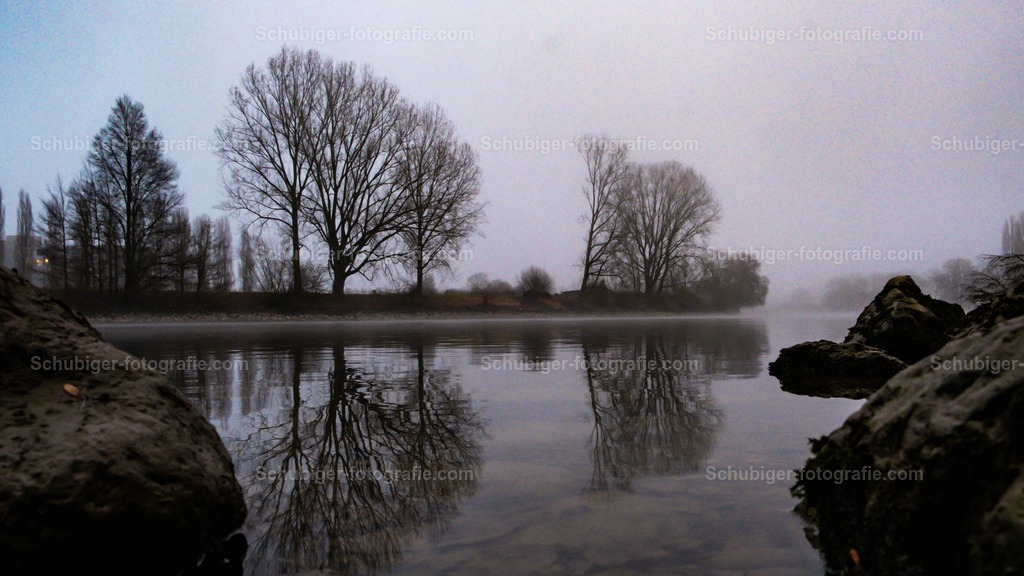Nebel an der Aare | Spiegelung der Bäume mit Nebel an der Aare - Realisiert mit Pictrs.com