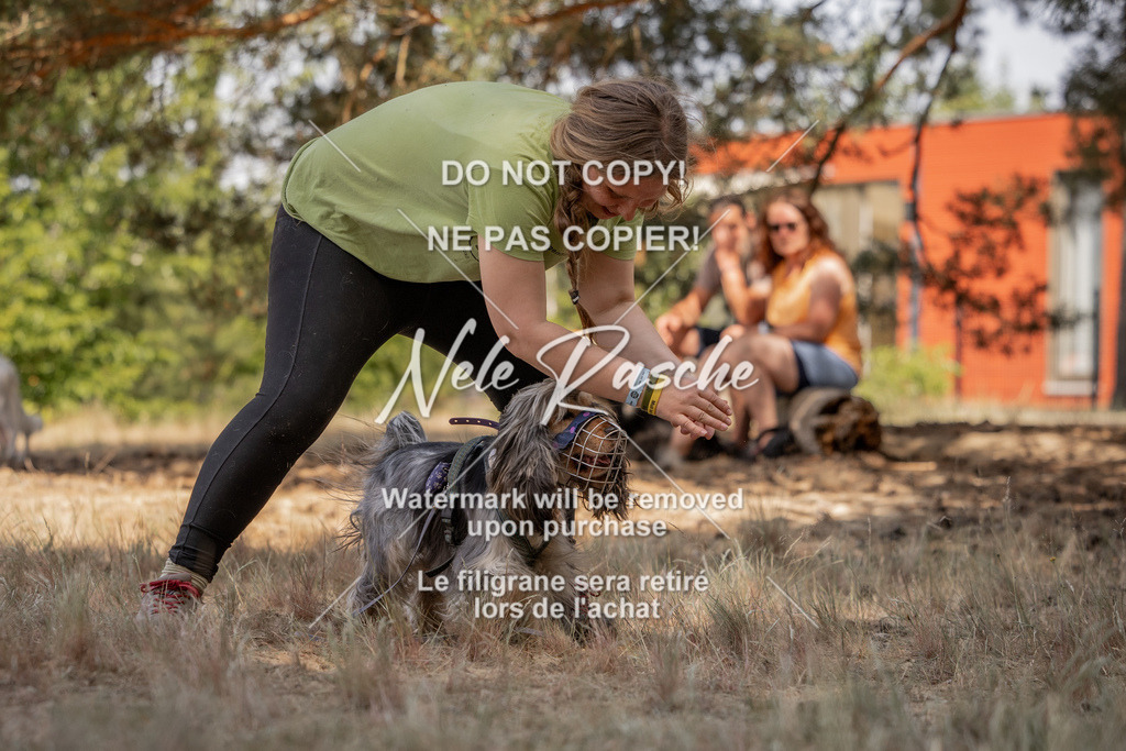 nelerasche_soDD2_365 | nelerasche