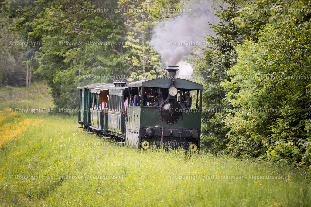 Erlaufsee Ausflugsschiff Fleissner-1456 | Fotos und Fotoprodukte - Realisiert mit Pictrs.com