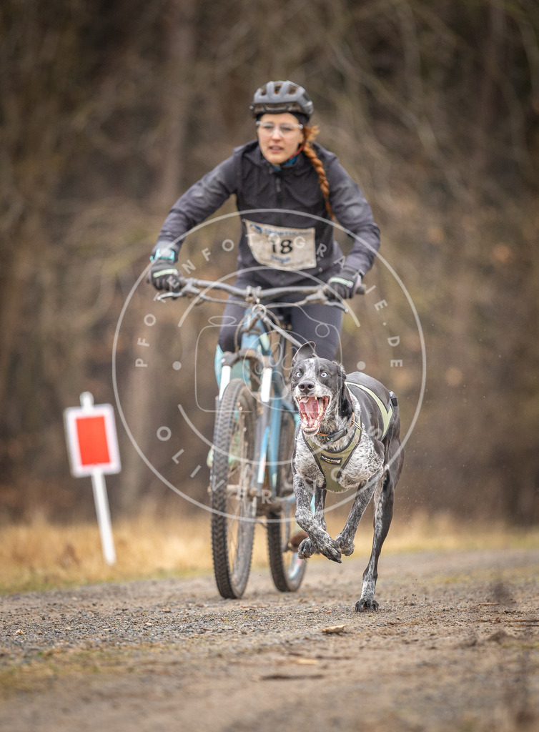 DV3A3212 | Hundefotografie, Tierfotograf, Pfotenfotografie, Fotoshooting Hund, Hunde Portrait, Hundesport, Hundeportraits, Heideshooting, Hunde, Sportfotograf, Hundefotograf, Turnierhundsport, THS,  - Realisiert mit Pictrs.com
