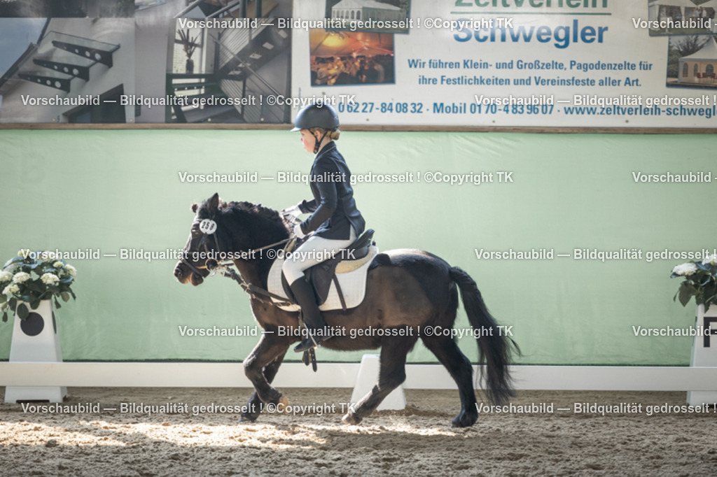 _D5A8865 | Emotionale Pferde- & People-Fotografie rund um Heidelberg, Leimen & Umgebung. Natürliche Fotos von Pferd, Mensch & Familie. Jetzt Termin sichern!