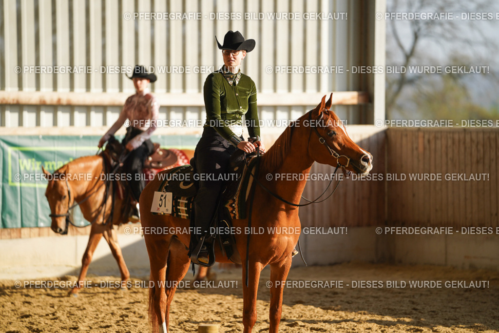 DSC08294 | Pferdegrafie