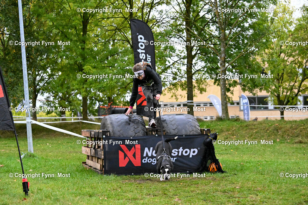 DSC_3345 | Hallo und herzlich Willkommen auf meiner Shop-Seite Fynn Most.

Ich wünsche Dir viel Spaß beim stöbern durch die Bilder, wenn Du Fragen hast oder Bilder vermisst, kannst du mir gerne eine Nachricht schreiben. - Realisiert mit Pictrs.com