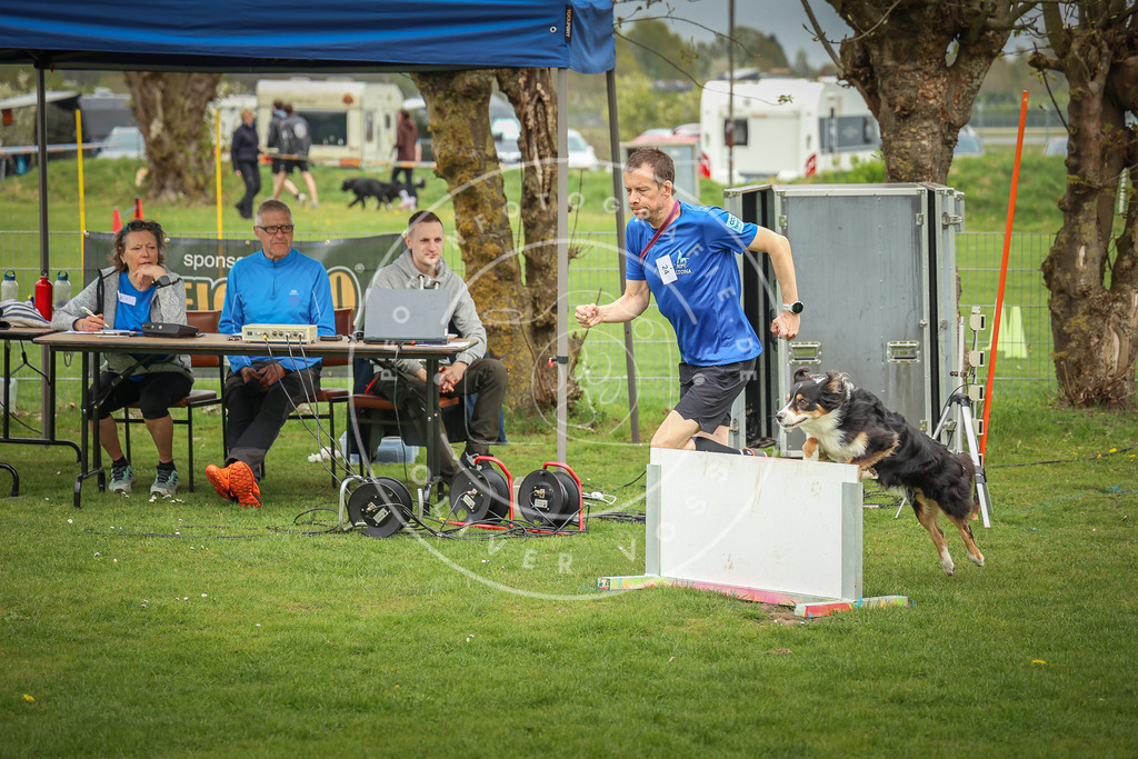 Pfotenfotografie_0L8A9715 | Hundefotografie, Tierfotograf, Pfotenfotografie, Fotoshooting Hund, Hunde Portrait, Hundesport, Hundeportraits, Heideshooting, Hunde, Sportfotograf, Hundefotograf, Turnierhundsport, THS,  - Realisiert mit Pictrs.com