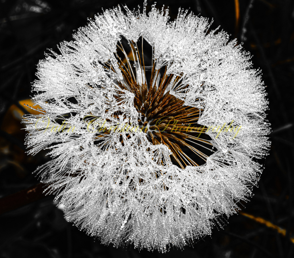 P 11 | Christian Vulin  - Realisiert mit Pictrs.com