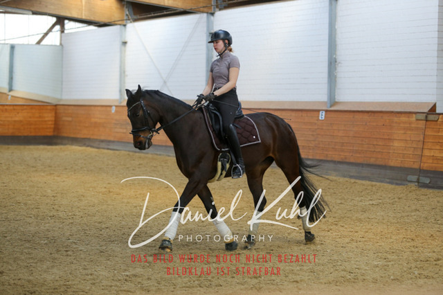 IMG_3505 | Turniersportfotografie; Pferdefotografie; Dressurfotografie