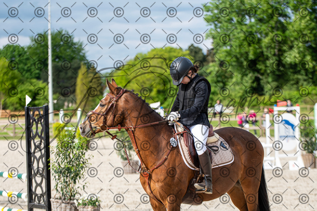 KPT_6649 | andre_photographic