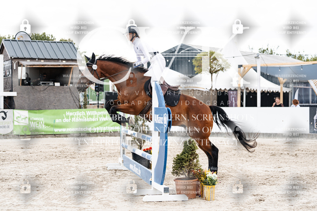 CK902687 | Turnierfotografie Pferdefotografie Trier Rheinland-Pfalz Pferdesport Reitsport Tierfotografie Sportfotografie Pferdevideo Pferdevideografie Equestrianvideography equestrianphotography  - Realisiert mit Pictrs.com