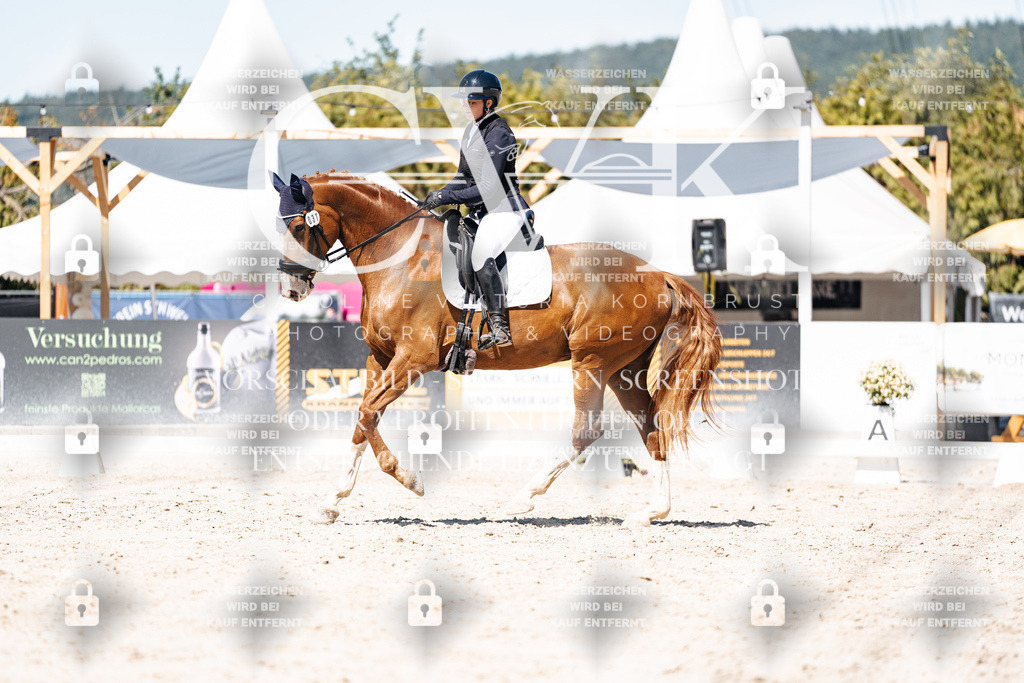 CK900036 | Turnierfotografie Pferdefotografie Trier Rheinland-Pfalz Pferdesport Reitsport Tierfotografie Sportfotografie Pferdevideo Pferdevideografie Equestrianvideography equestrianphotography  - Realisiert mit Pictrs.com