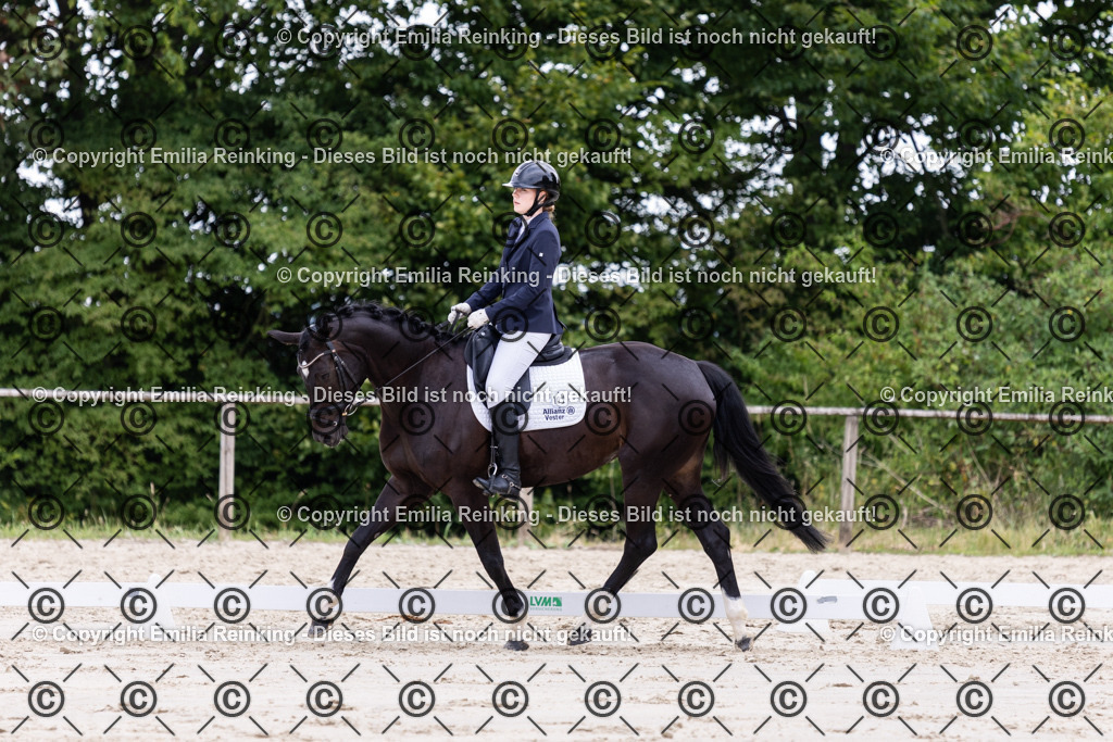 CL5A2012 | Emilia Reinking Fotografie - Realisiert mit Pictrs.com