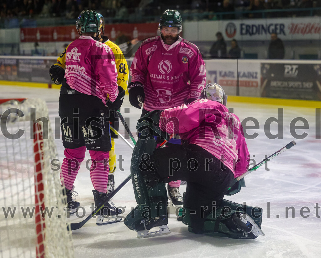 2025-10-10_040_TSV_Erding_gegen_onesto_Tigers_Bayreuth | Erding, Deutschland, 10.10.2025:Eishockey, Oberliga Süd 2025 / 2026, 7. Spieltag, TSV Erding gegen onesto Tigers Bayreuth, Endergebnis: 2:5Louis Trattner (Erding Gladiators, #7), Markus Eberhardt (Erding Gladiators, #94), Torwart Leon Meder (Erding Gladiators, #39)Foto: Christian Riedel / fotografie-riedel.net