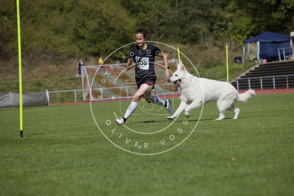 0L8A7210 | Hundefotografie, Tierfotograf, Pfotenfotografie, Fotoshooting Hund, Hunde Portrait, Hundesport, Hundeportraits, Heideshooting, Hunde, Sportfotograf, Hundefotograf, Turnierhundsport, THS,  - Realisiert mit Pictrs.com