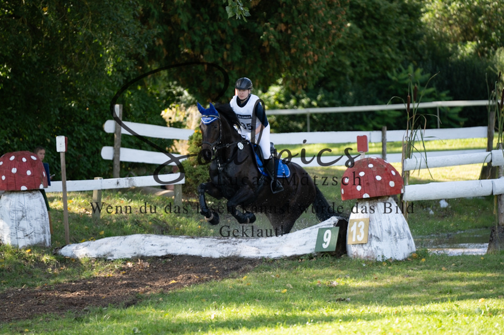 A7V03353 | Pferdefotograf