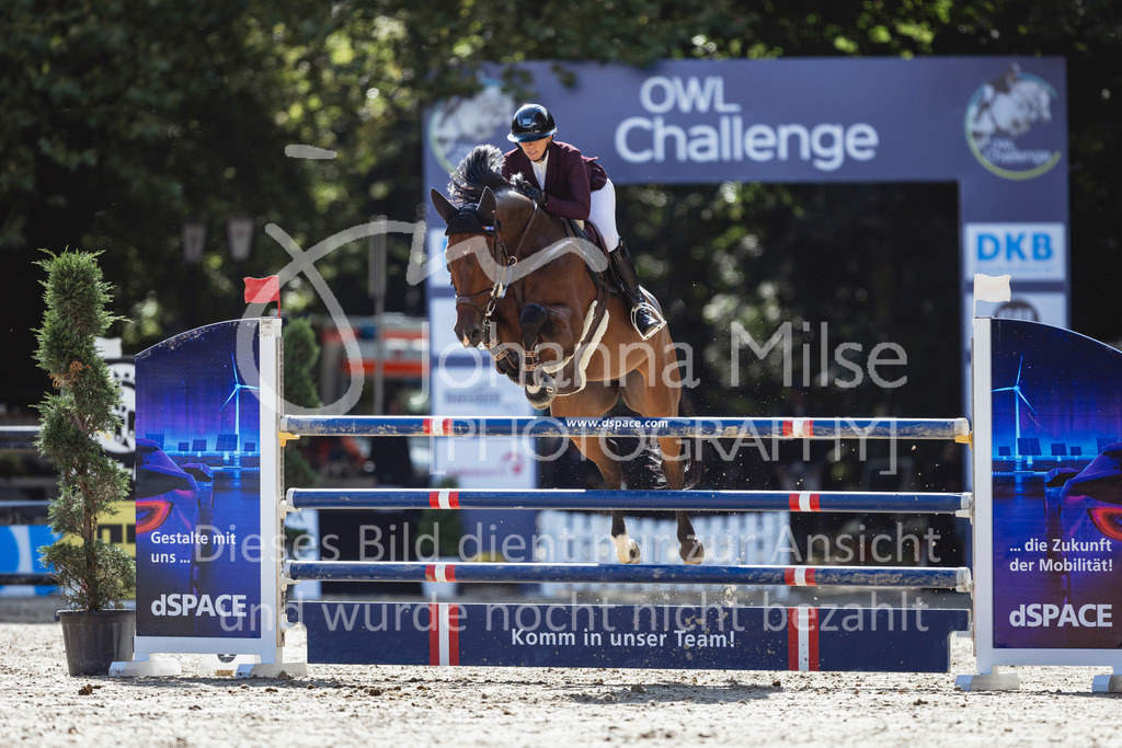 240912_OWLCh_AmateurL-419 | Deine schönsten Turniermomente als professionelle Fotos! Entdecke hochwertige Pferdesport-Fotografie im Online-Shop. Jetzt Fotos finden & bestellen!