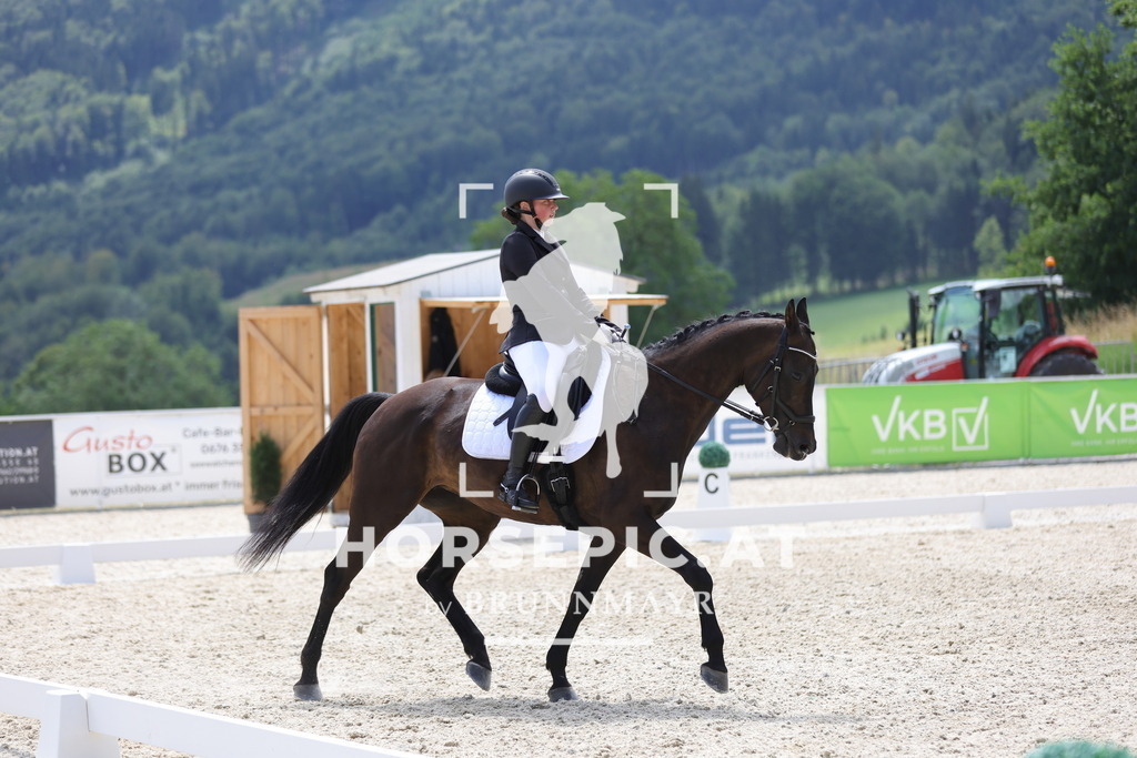 0P6A2307 | Willkommen bei Brunnmayr - Design & Fotografie – Ihrem Spezialisten für Reitturniere und Pferdeveranstaltungen in Oberösterreich, Salzburg und Bayern! Seit über 17 Jahren sind wir leidenschaftlich dabei.