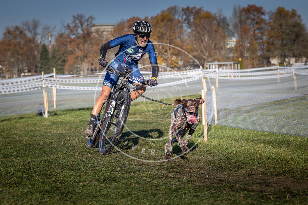 CaniXpix_0L8A4290 | Hundefotografie, Tierfotograf, Pfotenfotografie, Fotoshooting Hund, Hunde Portrait, Hundesport, Hundeportraits, Heideshooting, Hunde, Sportfotograf, Hundefotograf, Turnierhundsport, THS,  - Realisiert mit Pictrs.com