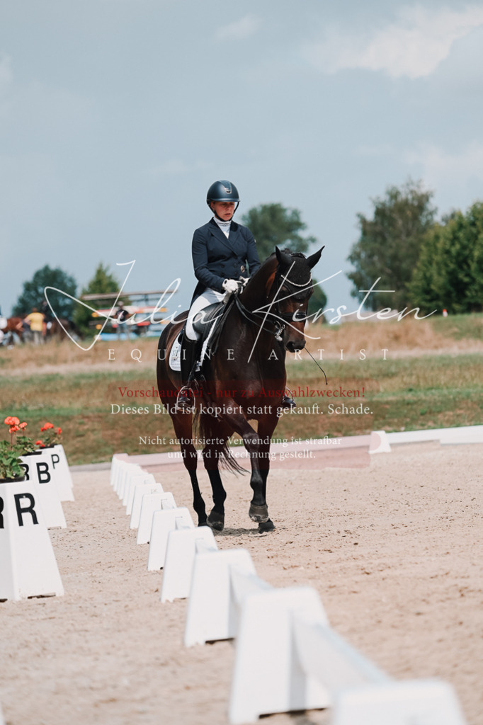DSC_4299 | Pferde- und Turnierfotografie in Westsachsen. Pferdeportraits, Auftragszeichnungen und intuitive Kunst.