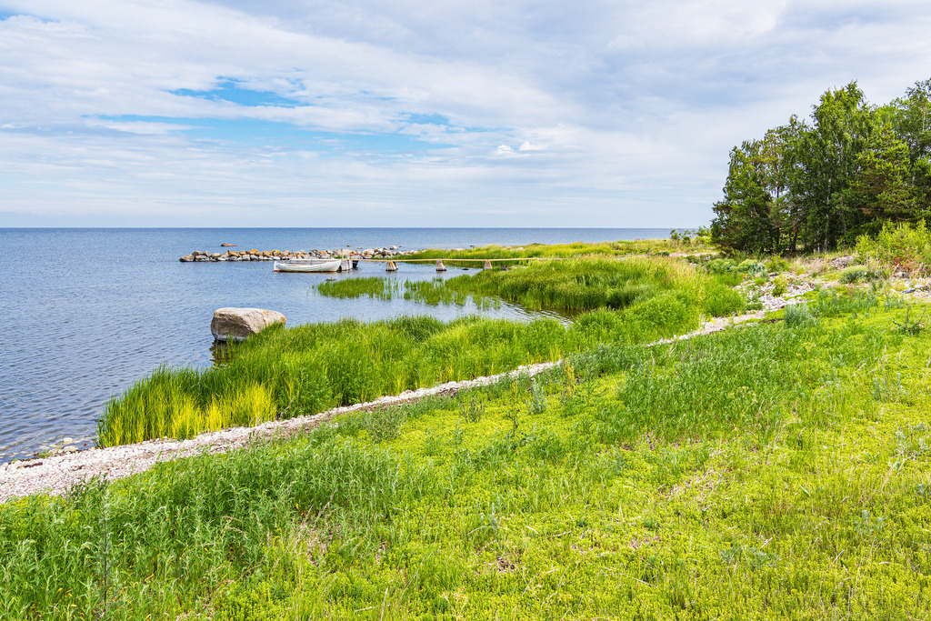 Landschaft an der Ostseeküste auf der Insel Öland in Schweden | Landschaft an der Ostseeküste auf der Insel Öland in Schweden.