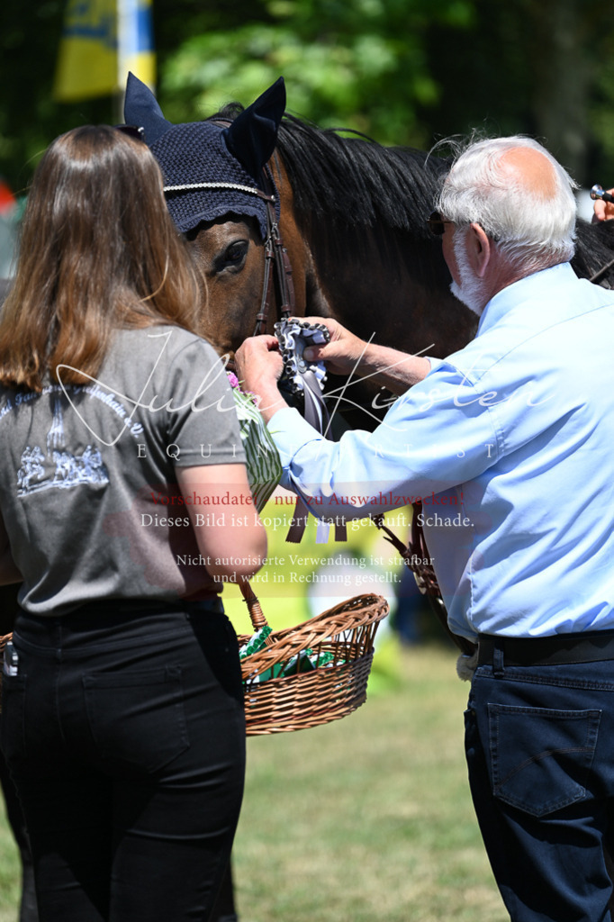 DSC_0876 | Pferde- und Turnierfotografie in Westsachsen. Pferdeportraits, Auftragszeichnungen und intuitive Kunst.