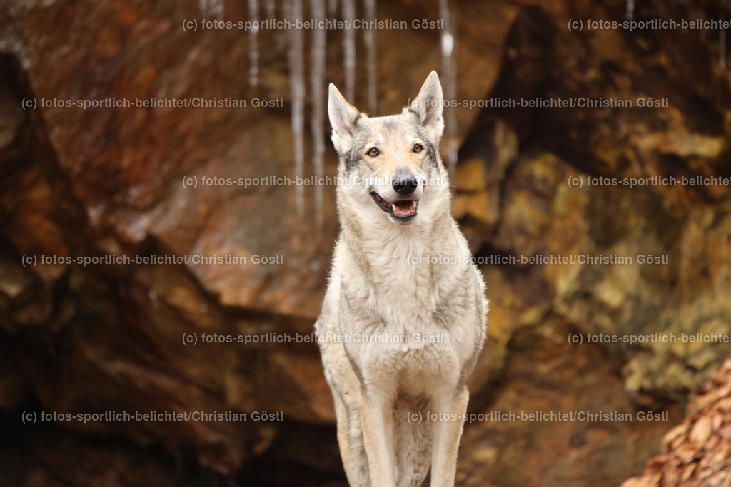 IMG_1124 | fotos-sportlich-belichtet - Realisiert mit Pictrs.com