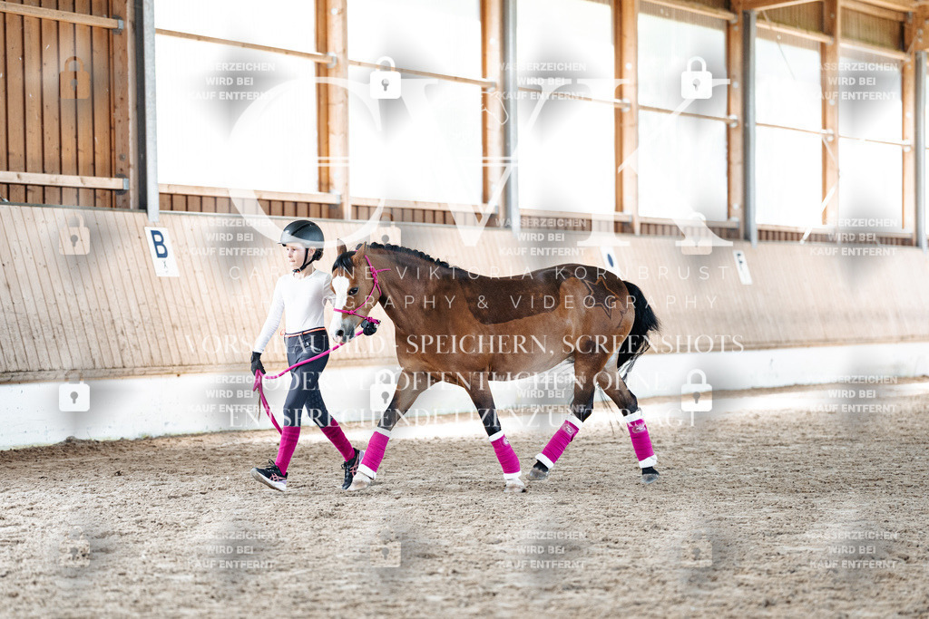 CK907110 | Turnierfotografie Pferdefotografie Trier Rheinland-Pfalz Pferdesport Reitsport Tierfotografie Sportfotografie Pferdevideo Pferdevideografie Equestrianvideography equestrianphotography  - Realisiert mit Pictrs.com