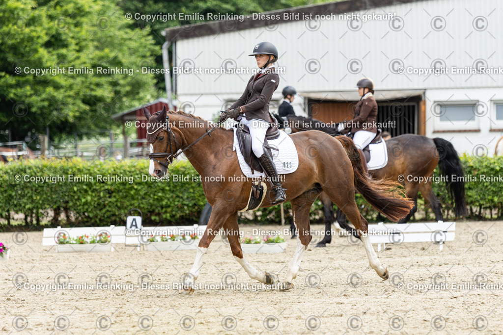 CL5A0635 | Emilia Reinking Fotografie - Realisiert mit Pictrs.com