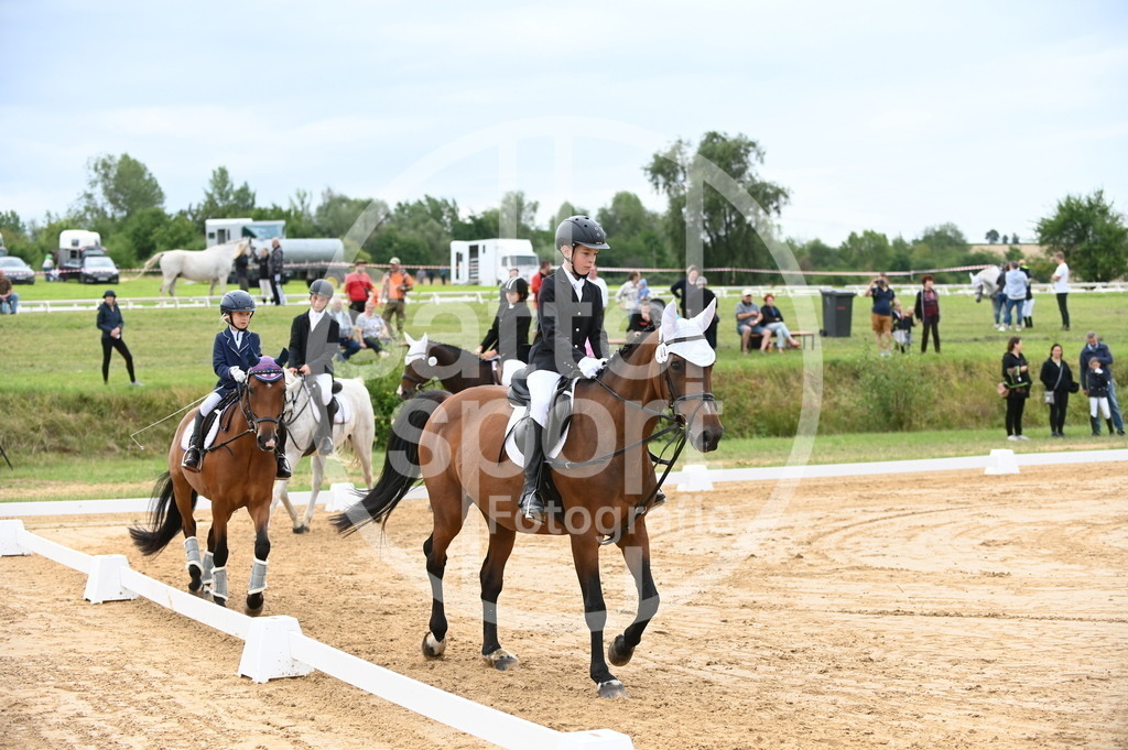 DSC_5484 | sattelsport - Realisiert mit Pictrs.com